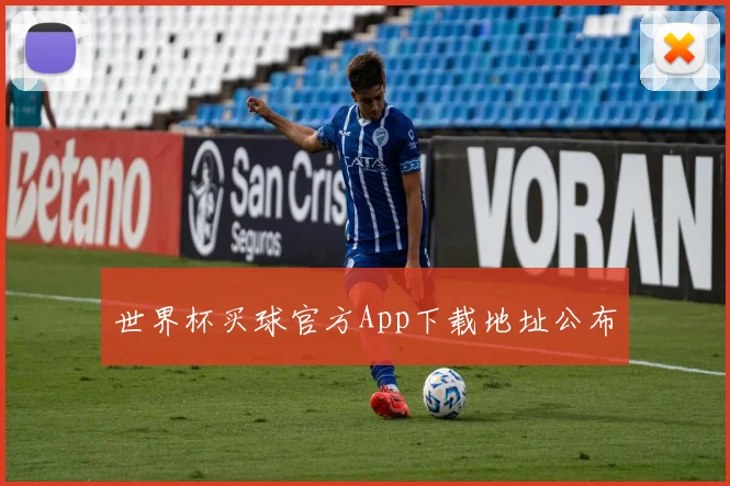 世界杯买球官方App下载地址公布
